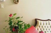 Цветы возле дивана